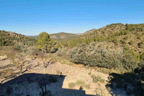 Landejendom i Biar, Alicante, Biar - € 198.000 | Ref: SF0491 - foto 21